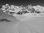 bscarp17 058